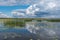 Lake, brooks, ponds, reeds, white water lilies with reflections