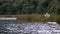 Lake in Cajas National Park