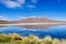 Lake Canapa on Altiplano,Bolivia