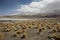 Lake Canapa, Atacama Desert, Bolivia