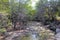 Lake Casitas dry river bed