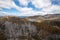 Lake Catani viewed from the Monolith Lookout, Mt. Buffalo