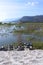 Lake Chapala Boats Birds Pier and Mountains