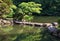 Lake in the city park Shinjuku, Tokyo, Japan. Copy space for text.
