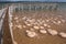 Lake Clifton Thrombolites Boardwalk