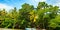 Lake, coconut palms and mangroves. Sri Lanka. Wide photo