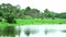 Lake in country side and reflection of tree plant grass on water surface