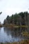 Lake covered with first thin ice