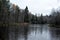 Lake covered with first thin ice