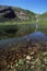 Lake with cows and campsite in the distance