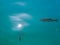 Lake in Croatia with fish in the water.