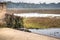 Lake with crocodile at the Tomb Mosque in bagerhat, Bangladesh