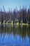 Lake Cuberant hiking trail views of ponds, forest and meadows around Bald Mountain Mount Marsell in Uinta Mountains from Pass Lake