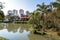 Lake at Curitiba Botanical Garden - Curitiba, Parana, Brazil