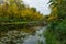 A lake in a deep forest. Mixed forest in reflection on the lake.