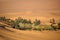 Lake in the desert of Libya