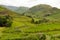 Lake District valley with dry stone walls and mountains