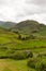 Lake District valley with dry stone walls and mountains