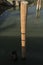 Lake dock wooden pole close up