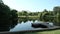 Lake with ducks and houses