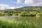 Lake Echternach, hills with abundant leafy trees in misty background