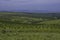 Lake Eland Nature reserve in Oribi gorge with a hanging suspension bridge