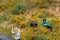 Lake Elsinore, California - March 22, 2019: Tourists clearly disrespecting signs and breaking rules, posing by a Please Stay Off