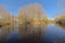 Lake er and bare forest in the Flemish countryside