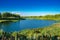 A lake in a field. Wildflowers on the shore