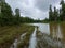 lake flowing near green fields between the forest