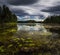 Lake Foldsjoen shores in summer time, Norway. Beautiful boreal forest lake