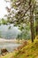 Lake and forest, cloudy day