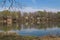 Lake and a forest in the spring