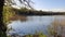 Lake in the forest. Wild nature details in summer day.