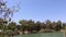 A lake of fresh water from the Yarkon River in the Ein Afek Nature Reserve in Gush Dan - Israel