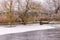 A lake frozen over with ice and snow with grasses and trees on the shore