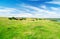 Lake, green grass and blue sky