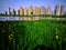 lake, green grasses and modern buildings