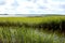 Lake with green ridges, sunny summer day with clouds in the sky, Lake Usma in Latvia. wooden footbridges in the lake