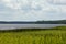 Lake with green ridges, sunny summer day with clouds in the sky, Lake Usma in Latvia. wooden footbridges in the lake