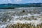 Lake Hamana brackish lagoon in Shizuoka Prefecture of Japan