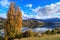 Lake Hayes, Otago Region, New Zealand, in autumn