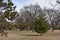 Lake Hiawatha in  Very Early Spring