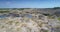 Lake hides behind lifeless clay pit petrified surface