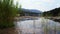 The Lake House and Wild Green Nature