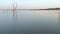 Lake Kariba in Zimbabwe, Africa. Landscape from the air, trees in the water, crocodiles, birds and hippopotamus