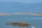 Lake Karla , Greece , wild flora and fauna