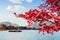 Lake Kawaguchiko autumn maple with tourist scenic boat selective focus at red leaves - Japan