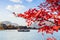 Lake Kawaguchiko tourist scenic boat selective focus. red maple leaves foreground - Japan