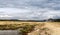 Lake of kenia with suv cars